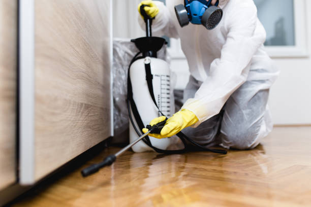 Best Affordable Pest Control Services  in Olton, TX
