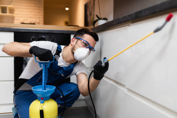 Best Local Pest Control Services  in Olton, TX