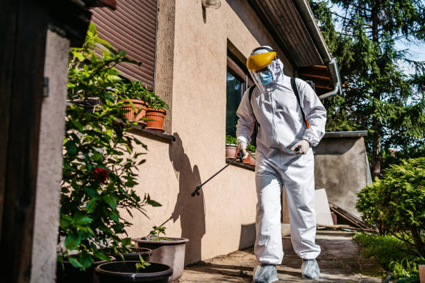 Best Pest Prevention Services  in Olton, TX