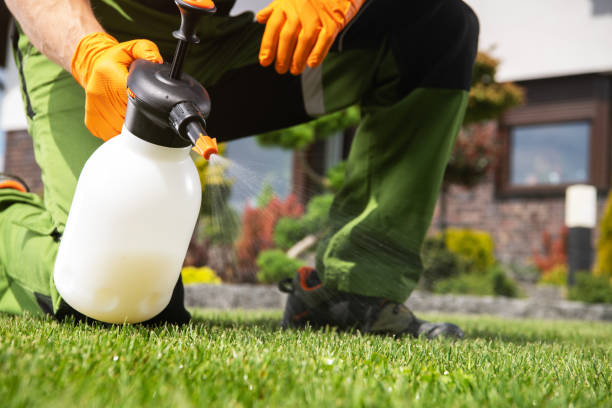 Olton, TX Pest Control Company